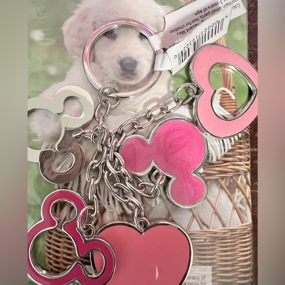 Brand new keychain